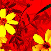 哪里买最实惠的ddos在线攻击测试网站