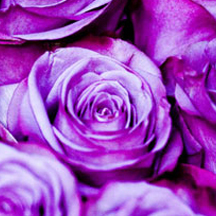 【企业定制版】个性化的DDOS攻击平台