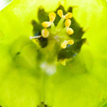 【故障排除】可靠的攻击网站服务器